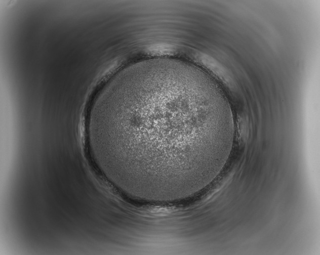 X0000098070494200804110925