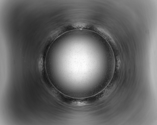 X0000098070498200804110925