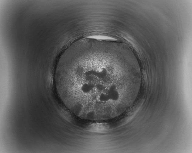 X0000098070499200804110925