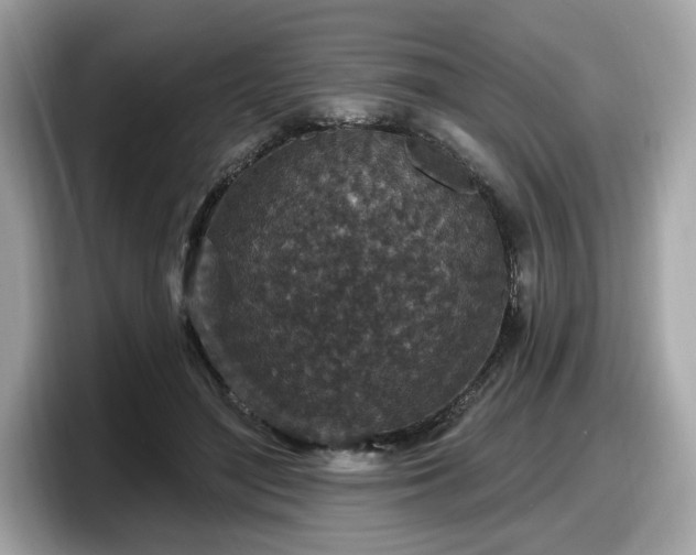 X0000098070500200804110925