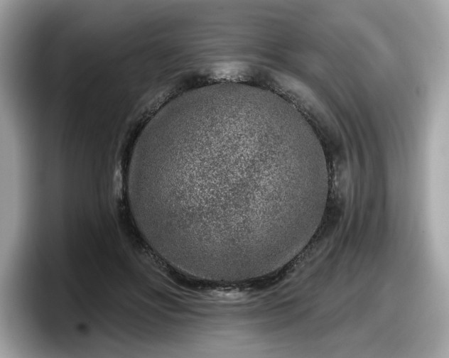 X0000098070502200804110925