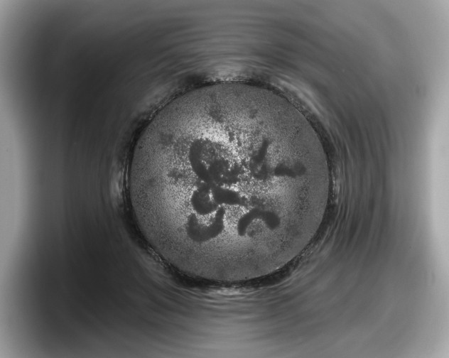 X0000098070503200804110925