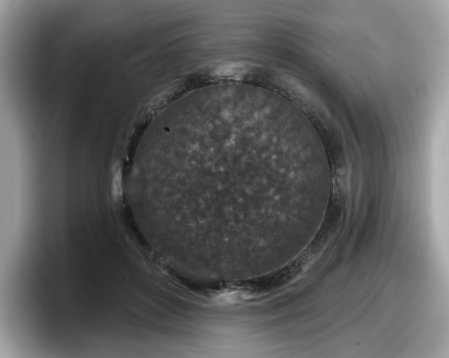 X0000098070504200804110925