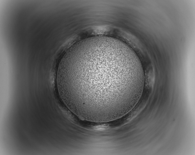 X0000098070505200804110925