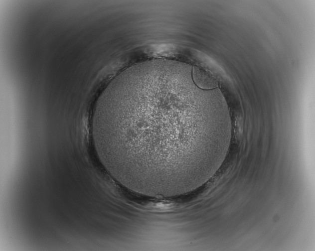 X0000098070506200804110925