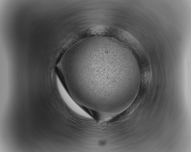 X0000098070508200804110925