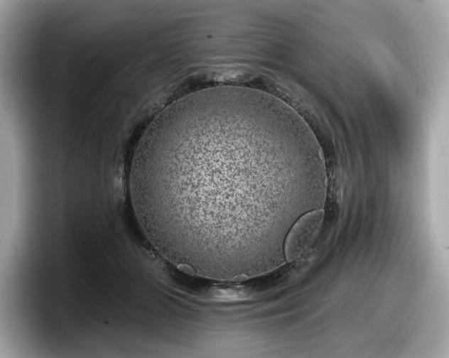 X0000098070510200804110925