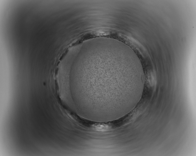 X0000098070512200804110925