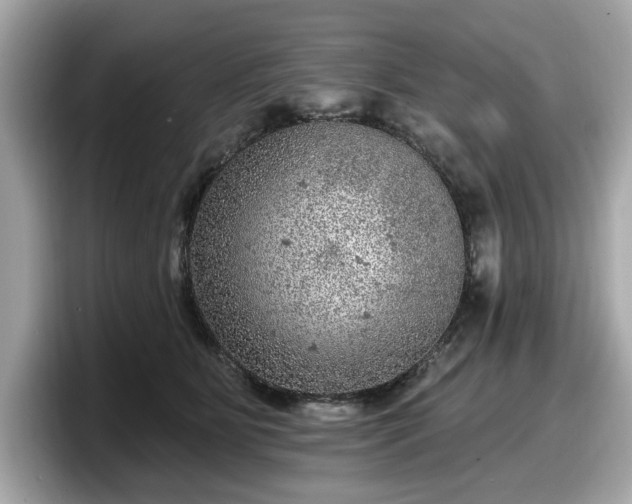 X0000098070515200804110925