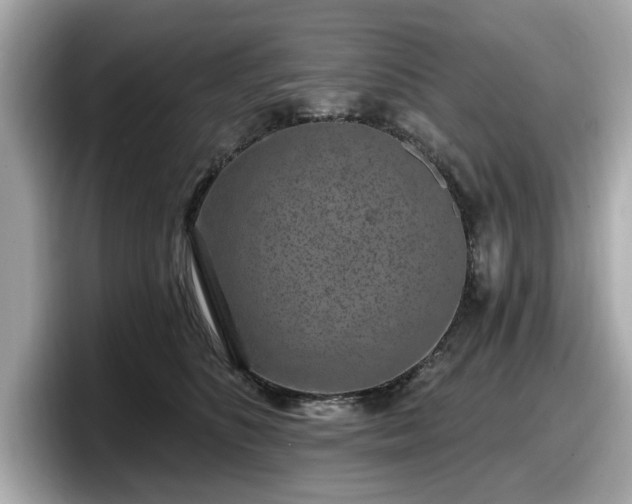 X0000098070516200804110925