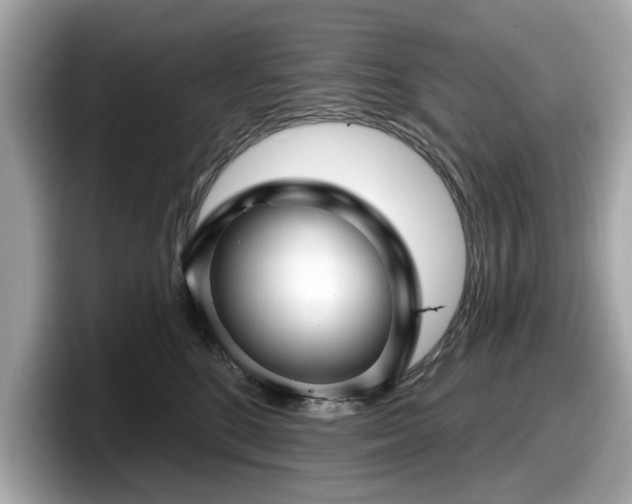 X0000098070520200804110925