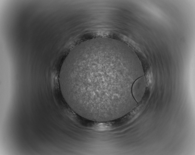 X0000098070522200804110925