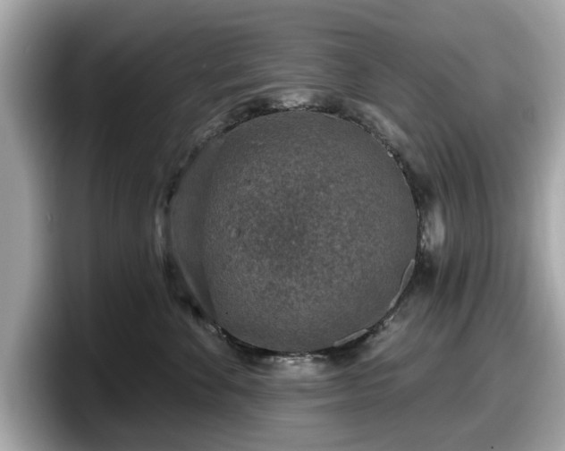 X0000098070524200804110925