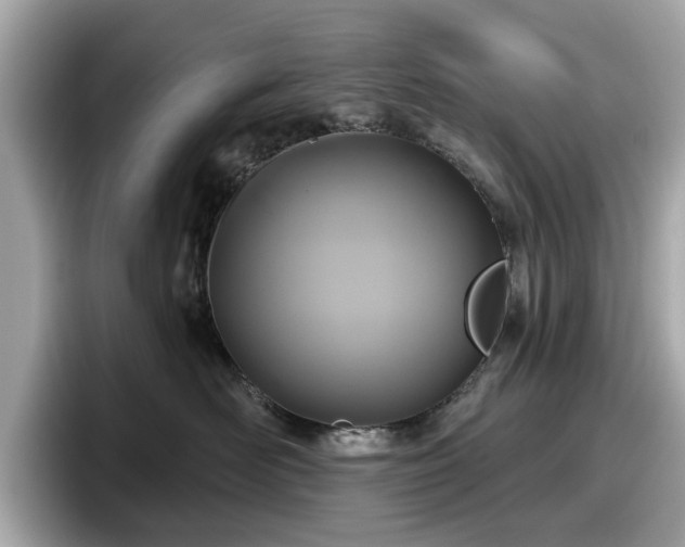 X0000098070526200804110925