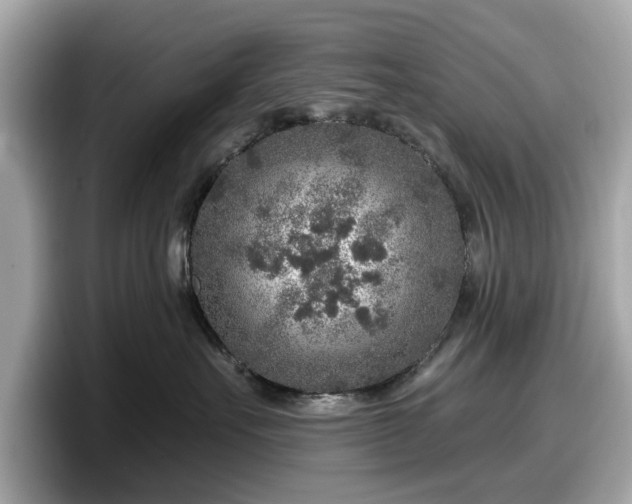 X0000098070527200804110925