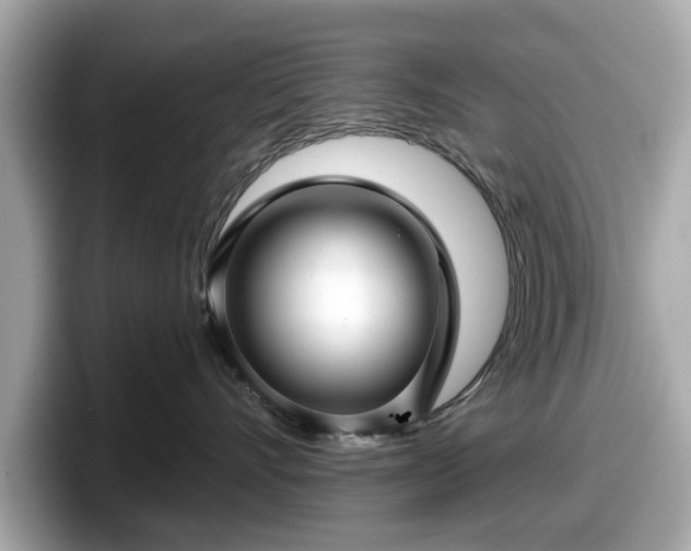 X0000098070528200804110925