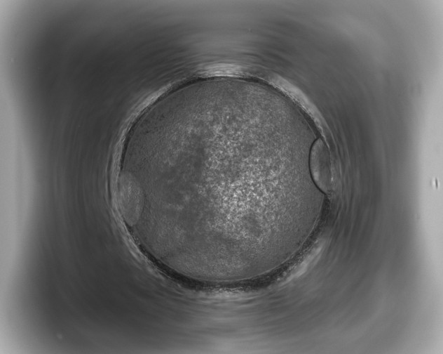 X0000098070529200804110924