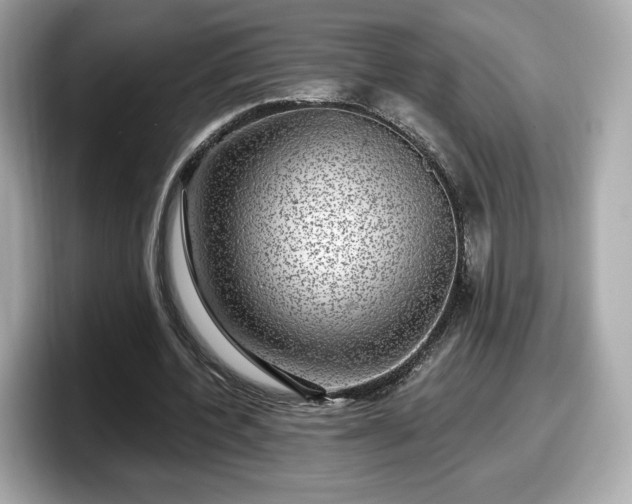 X0000098070532200804110924