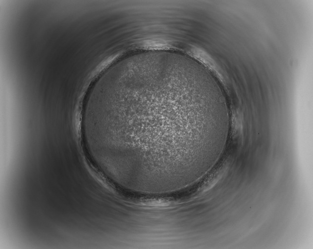 X0000098070533200804110924