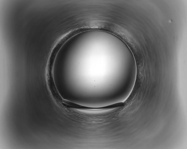 X0000098070536200804110924