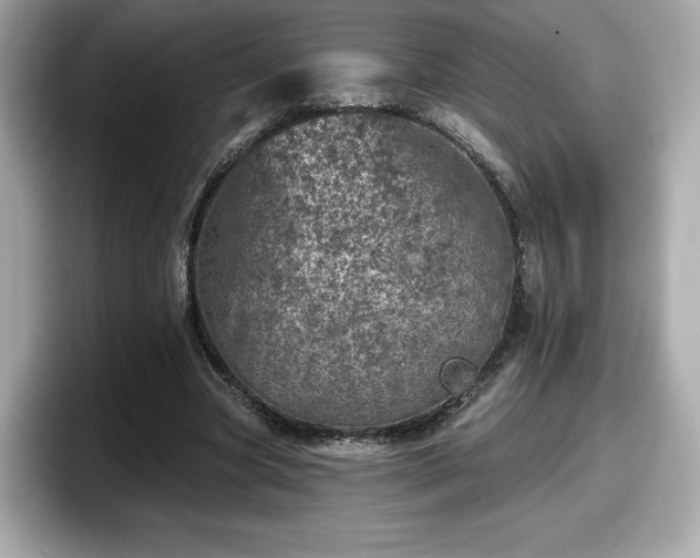 X0000098070537200804110924