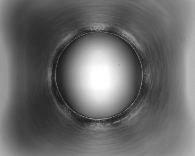 X0000098070538200804110924