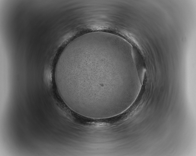 X0000098070539200804110924