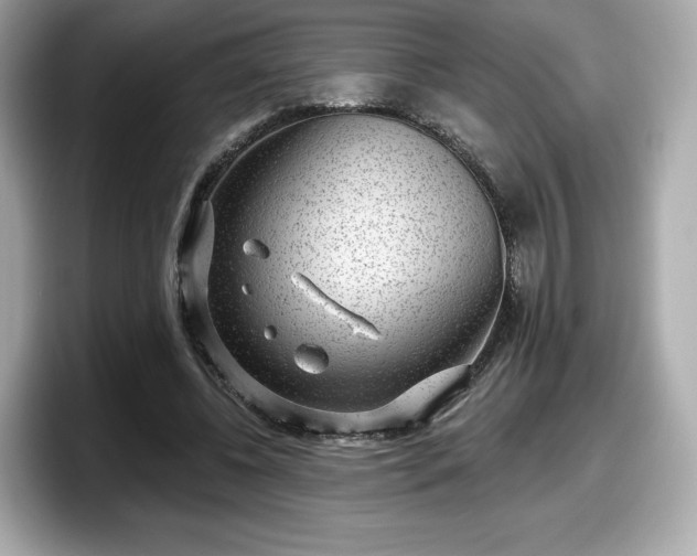 X0000098070540200804110924