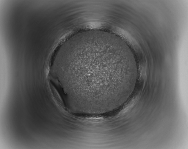 X0000098070542200804110924