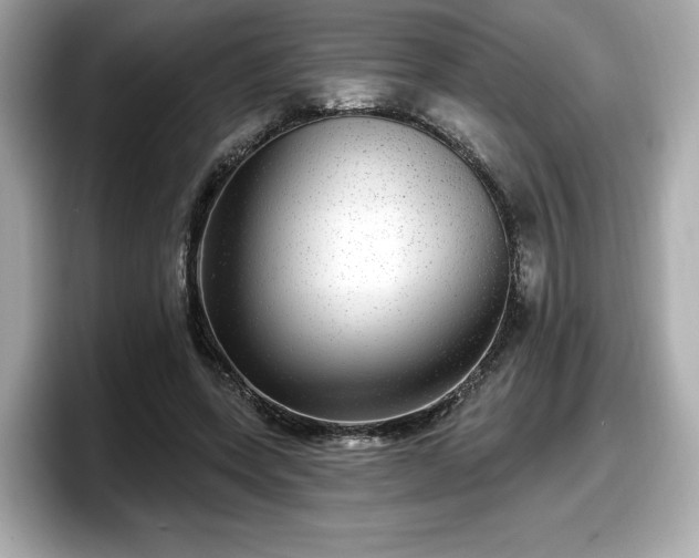 X0000098070543200804110924