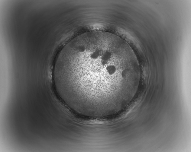 X0000098070545200804110924