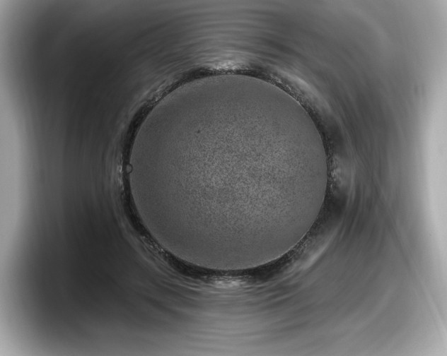 X0000098070547200804110924