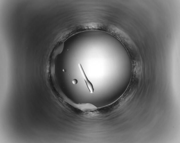 X0000098070548200804110924