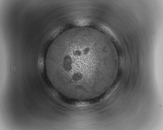 X0000098070549200804110924