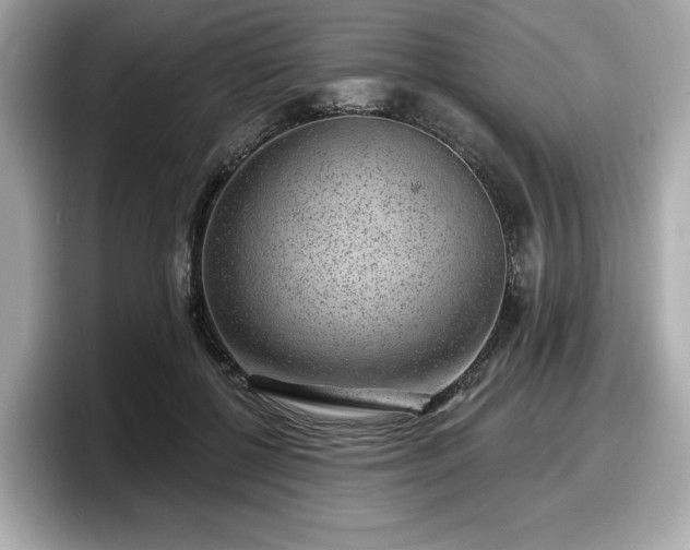 X0000098070552200804110924