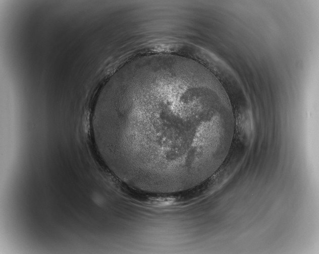 X0000098070554200804110924