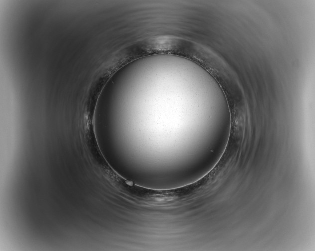 X0000098070555200804110924