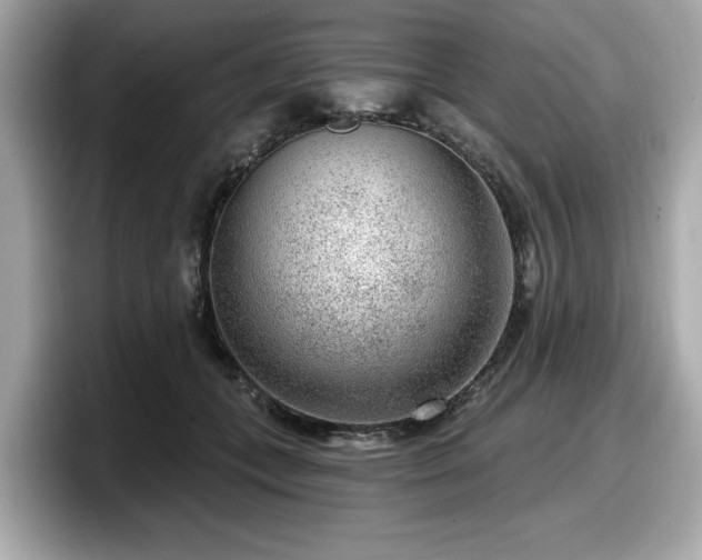 X0000098070559200804110925