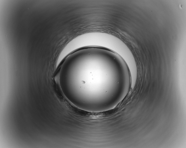 X0000098070560200804110925