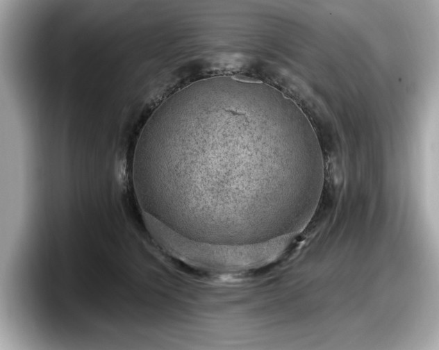 X0000098070564200804110925