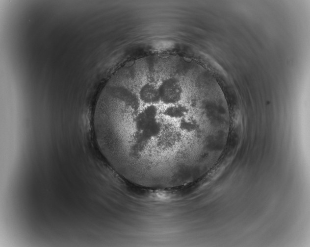 X0000098070565200804110925