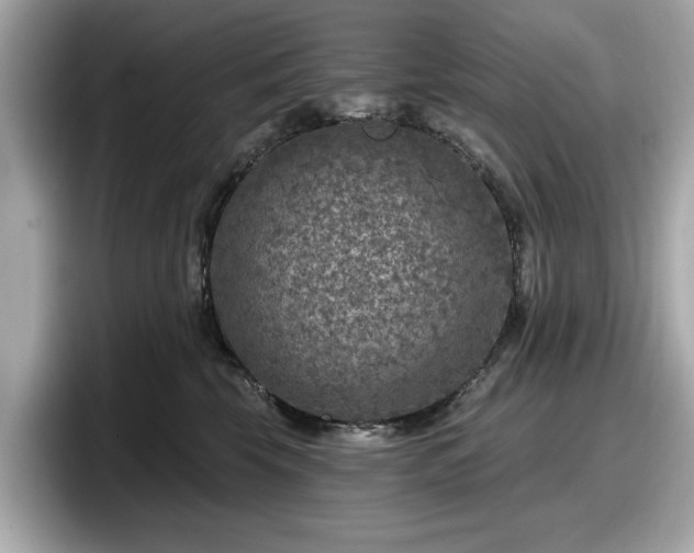 X0000098070569200804110925