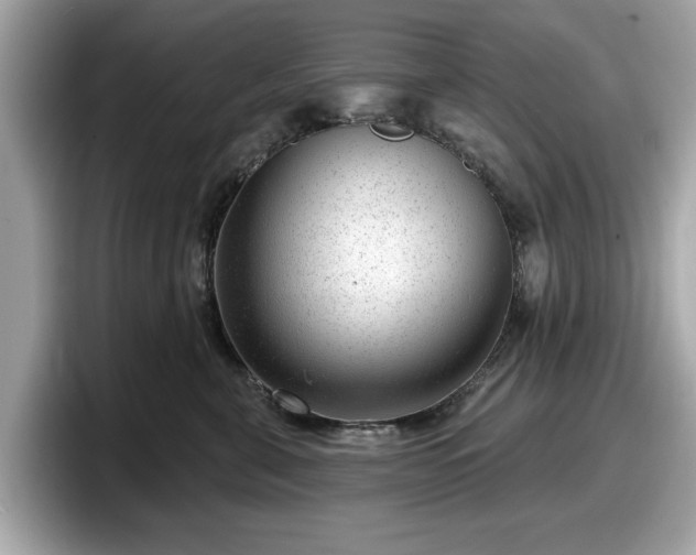 X0000098070571200804110925