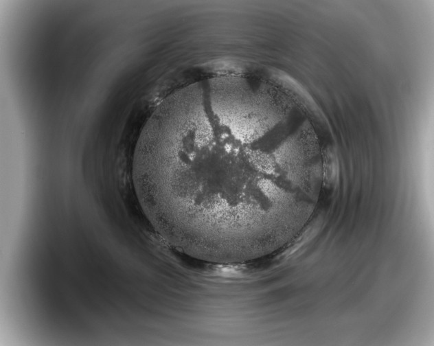 X0000098070573200804110925