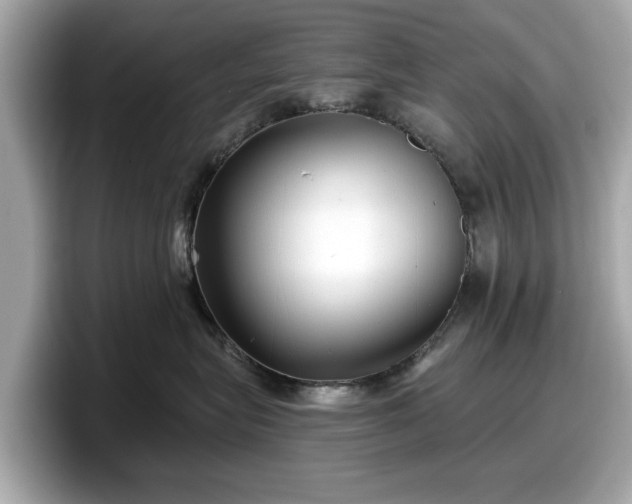 X0000098070575200804110925