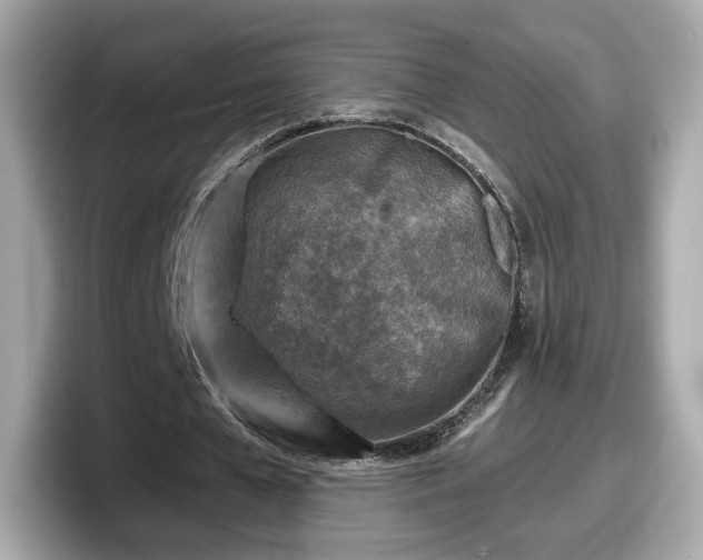 X0000098070577200804110924