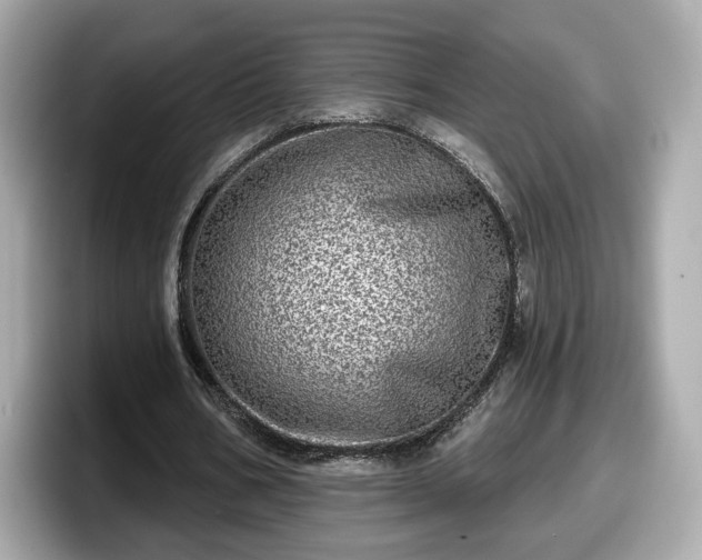 X0000098070578200804110924