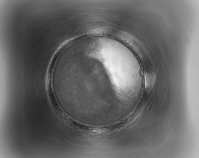 X0000098070579200804110924