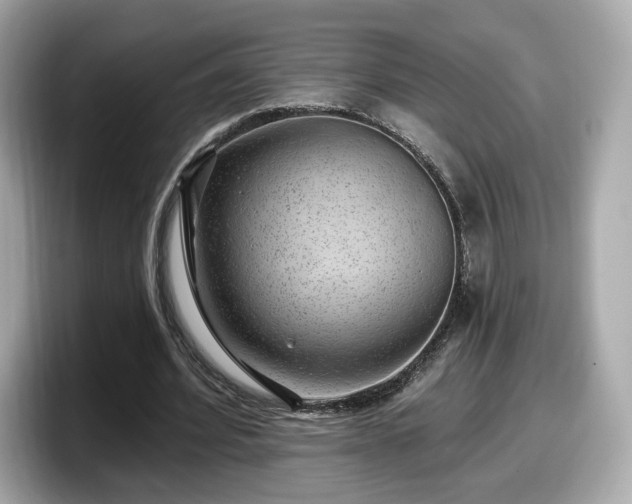 X0000098070580200804110924