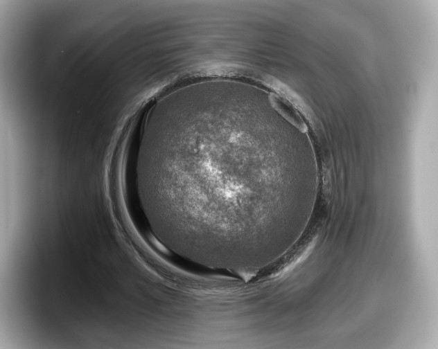 X0000098070581200804110924